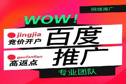 揭秘成功之道：竞价推广公司经典案例分享
